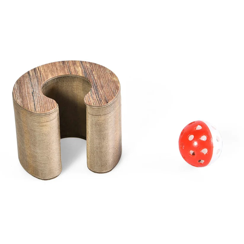 Brinquedo Arranhador Interativo